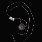 Ear