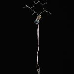 Neuron